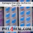 Kamagra Oral Jelly What Is It 23